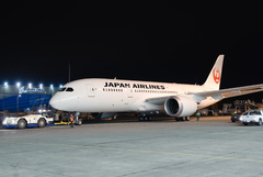 Boeing 787-8 de JAL