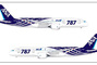 Boeing 787-8 d'All Nippon Airways avec une livrée spéciale