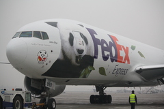 Chinese Pandas Touch Down in Scotland on the “FedEx Panda Express”