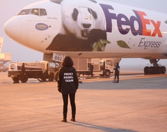 Chinese Pandas Touch Down in Paris on the “FedEx Panda Express”