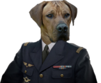 Avatar de Tristan91