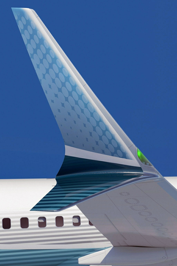 Winglet du 737 MAX