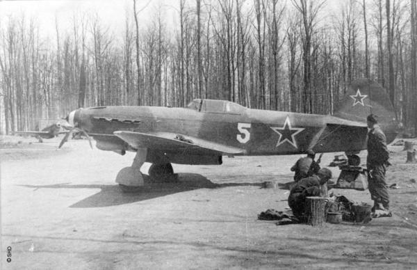 yak 3