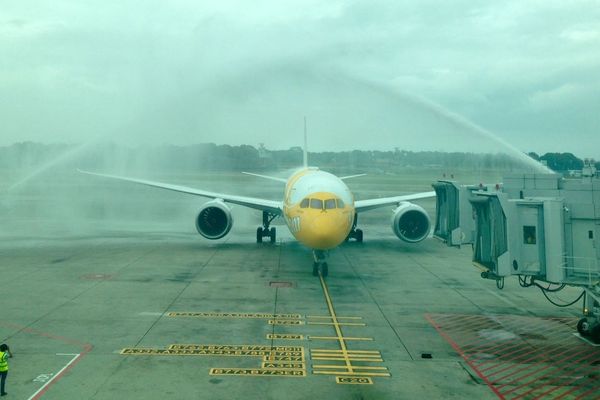 Boeing 787 SCOOT 