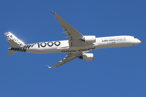 4910.jpg