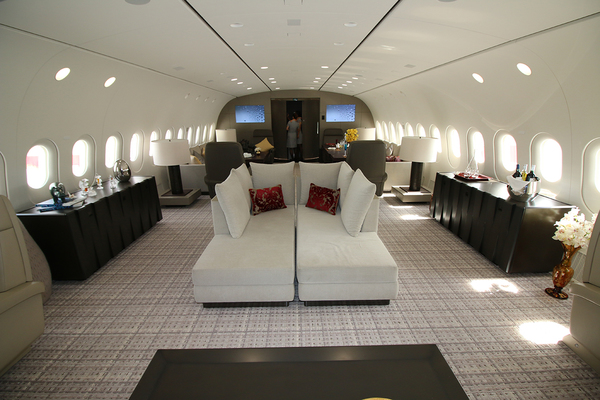 787 Dream Jet Deer Jet