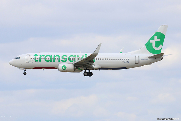 transavia