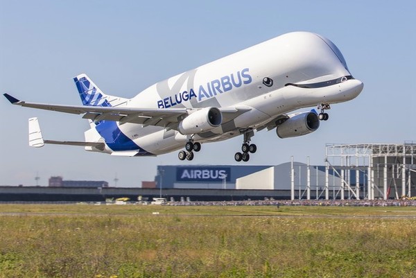 beluga Xl