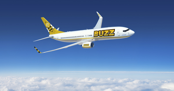 Boeing 737 BUZZ