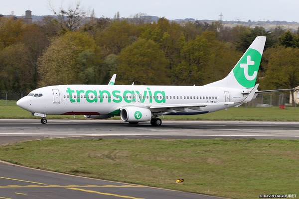 transavia