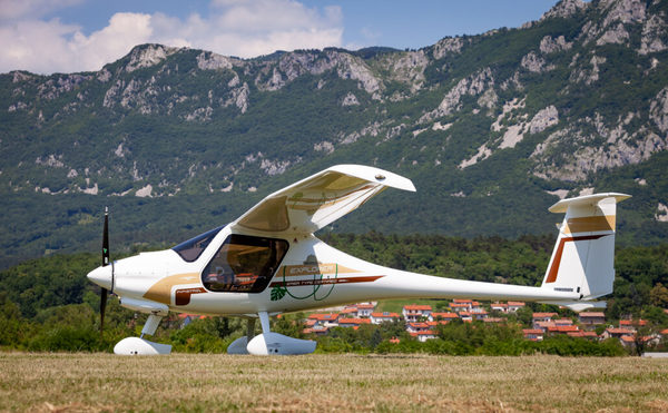 pipistrel