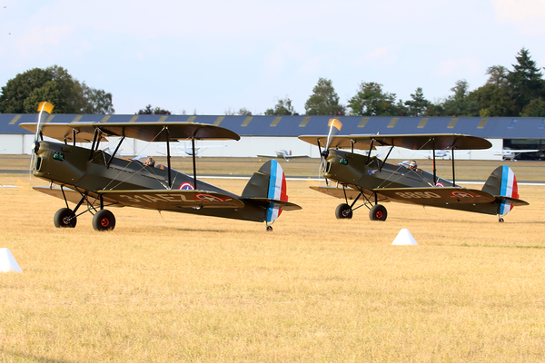 stampe
