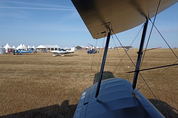 stampe