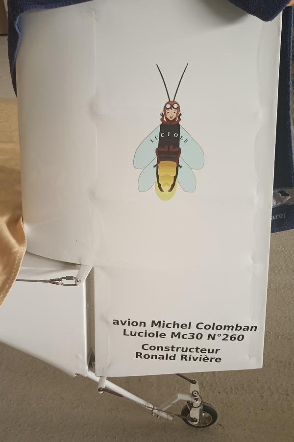 luciole