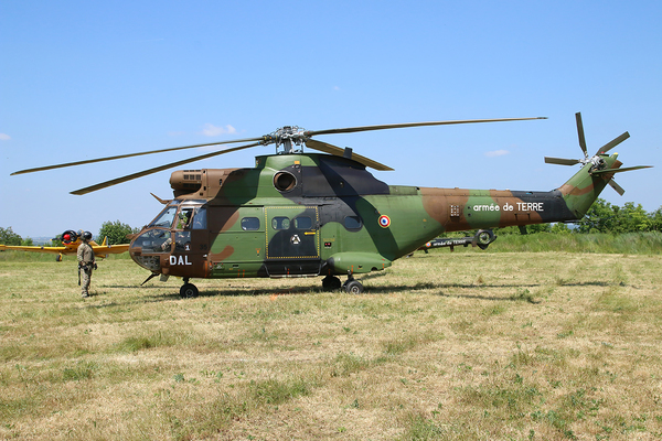 Puma de l'armée de terre