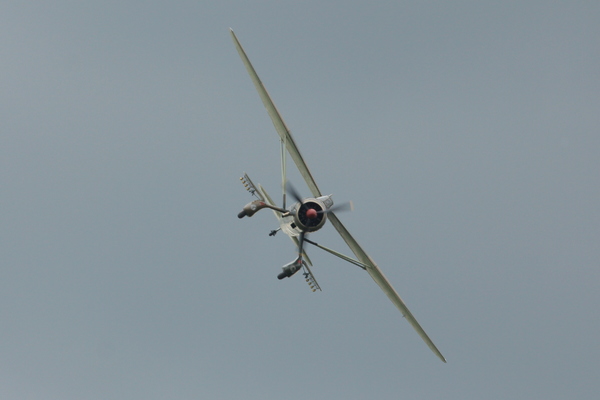 Westland Lysander