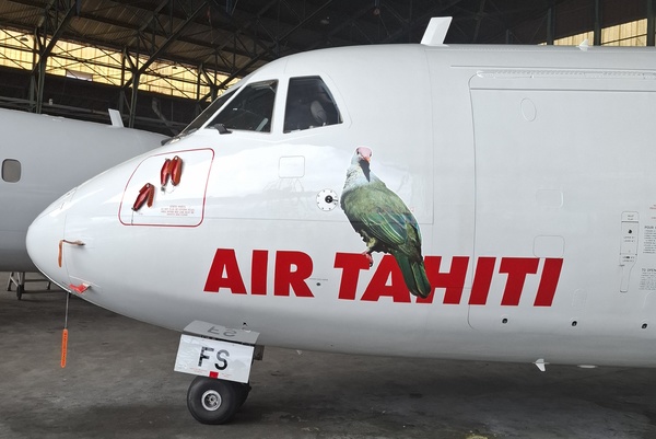Air Tahiti présente une livrée pour la préservation des oiseaux