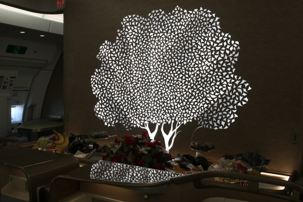 Airbus A350 Emirates - Business