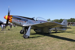 1931.jpg