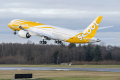 Boeing 787 SCOOT 