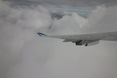 4186.jpg