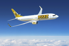 Boeing 737 BUZZ