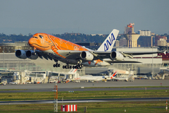 Airbus A380 - ANA