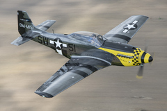 Le SW-51 Mustang la réplique du mythique warbird 