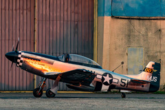 Le ScaleWings 007 effectue son premier vol