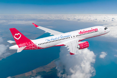 Animawings arrive en France