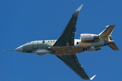 Falcon 2000 Albatros