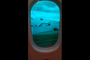 Hublot Boeing 787 Qatar Airways