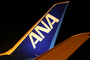 Logo ANA 