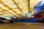 Boeing 767 TAM livrée Walt Disney