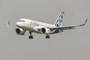 Airbus A319neo