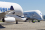 Airbus Beluga XL