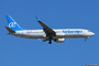 Boeing 737-800 Air Europa
