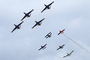 Patrouille de l'Aéro Club de France à Cerny La Ferté-Alais 2021