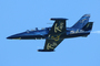 L-39 Albatros Fly & Fun L-39 Albatros Fly & Fun