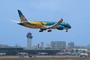 Boeing 787-9 Vietnam Airlines "Oiseau Lac"