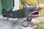 Curtiss P-40 à pédales : une nouvelle création artisanale signée Philippe B.