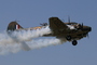 Le seul Avro Anson Mk.I encore en état de vol dans le monde