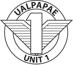 UALPAPAE: NLRB Sides with Staff Union Against Union Employer UALPAPAE: NLRB Sides with Staff Union Against Union Employer