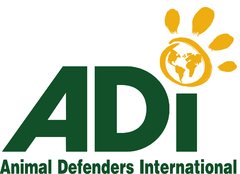 Airlines, Airports and Global Companies Back Record Breaking Lion Rescue by Animal Defenders International