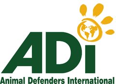 Airlines, Airports and Global Companies Back Record Breaking Lion Rescue by Animal Defenders International Airlines, Airports and Global Companies Back Record Breaking Lion Rescue by Animal Defenders International