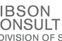 Sibson Releases 2009 Expatriate Talent Market Trends Survey