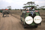 Ethiopian Airlines and ET African Journeys Announced a Deluxe Tanzania Only Safari for Only $2259* Including Air Ethiopian Airlines and ET African Journeys Announced a Deluxe Tanzania Only Safari for Only $2259* Including Air