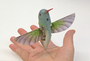 AeroVironment Develops World’s First Fully Operational Life-Size Hummingbird-Like Unmanned Aircraft for DARPA