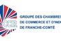 CCIR - CHAMBRE DE COMMERCE ET D'INDUSTRIE REGIONALE FRANCHE-COMTE expose au salon du Bourget 2011, Stand D179, 20-26 juin 2011