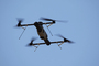 AeroVironment Introduces Shrike Vertical Take-off and Landing (VTOL) Unmanned Aircraft System